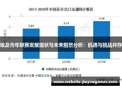 埃及青年联赛发展现状与未来前景分析：机遇与挑战并存