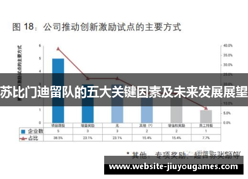 苏比门迪留队的五大关键因素及未来发展展望