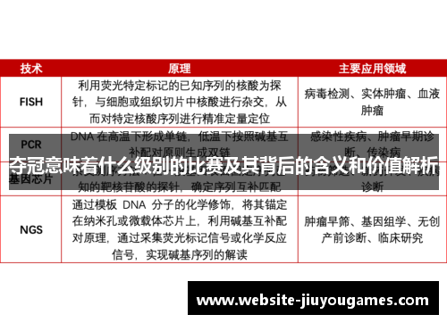 夺冠意味着什么级别的比赛及其背后的含义和价值解析